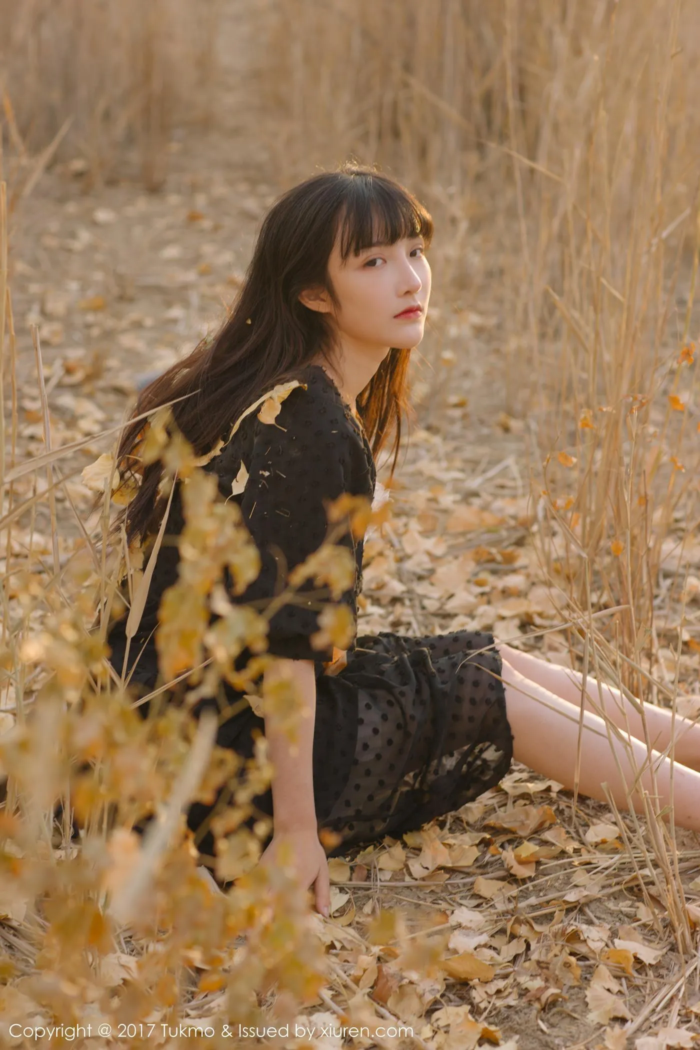 Vol.104 之应 [41P]插图2